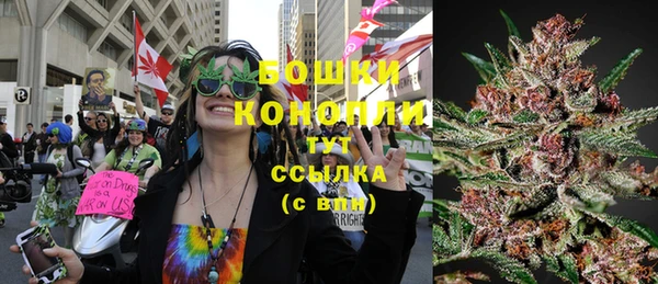 шишки Алексин