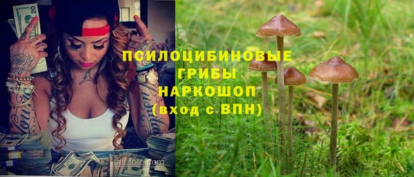 шишки Алексин