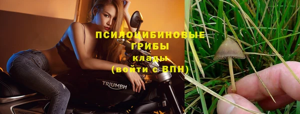 шишки Алексин